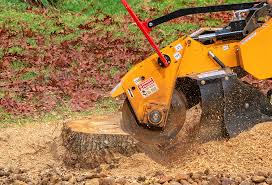 Best Stump Grinding and Removal  in New Mford, IL