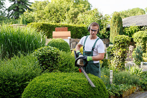 Lawn Pest Prevention in New Milford, IL